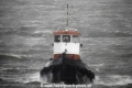 Taifun 310315-05.jpg