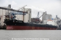 Bulk Indonesia 121211-01.jpg