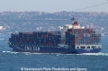 CMA CGM Dahlia (MS-300706-1).jpg