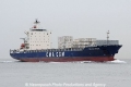 CMA CGM Anemone JG-101108-01.jpg