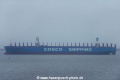 Cosco Shipping Galaxy (MS-301218-12).jpg