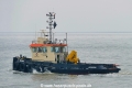 Walrus 2 (OK-290621-1).jpg