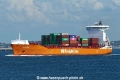 BG Orange (MB-220425-1).jpg