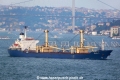 Seagull D (LW-180909-03).jpg