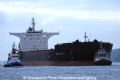 Bulk Spain (JS-061013-07).jpg
