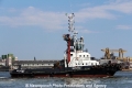 Delphinus RV-071212-01.jpg