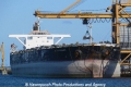 Ocean Cosmos (LW-050409-06).jpg