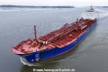 Bochem Bucephalas KH-200225-3.jpg