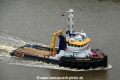 Dutch Pearl JB-300815.jpg