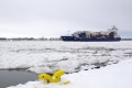 Elbe-Winterimpression WB-20100131-008.jpg