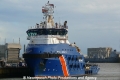 Ievoli Amaranth (OK-191113-1).jpg