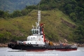 Delphinus RV-081112-04.jpg