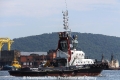 Delphinus RV-071212-03.jpg