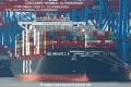 MSC Brunella TL-180718-1.jpg