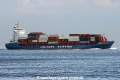 Mild Sonata (MS-030816-10).jpg