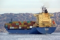 Minerva (OK-250114-3).jpg