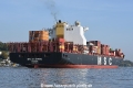 MSC Caterina 151019-20.jpg