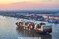 MSC Chloe 160823-09.jpg