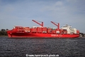 Polar Costa Rica (JS-070418-20).jpg