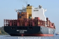 MSC Caterina 151019-22.jpg