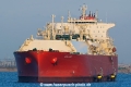 New Apex SH-091125-01.jpg
