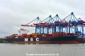 MSC Brunella (KB-D311017-01).jpg