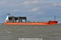 Saga Beija-Flor JG-070526-2.jpg