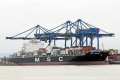 MSC Coruna RV-080812-13.jpg