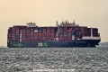 Zim Alexandrite OS-121125-01.jpg