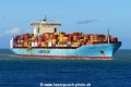 MSC Ellen (MB-041021-2).jpg