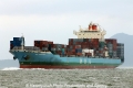 MOL Dominance RV-240911.jpg