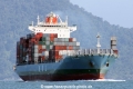 MOL Delight RV-170412-02.jpg