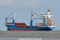 Queen B HK-070716-2.jpg