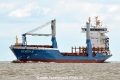 Queen B HK-070716-1.jpg