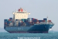 MOL Delight (MS-300316-01).jpg
