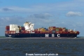 MSC Desiree (KK-040817-3).jpg