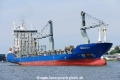 Queen B 2 (OK-020820-0).jpg