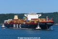 MSC Domitille (KK-100416-2).jpg