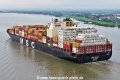 MSC Elma KH-150725-11.jpg