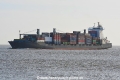 Queen B 3 JG-011120-01.jpg