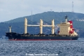 Puffin S (OK-250917-1).jpg