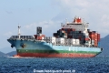 MOL Delight RV-170412-05.jpg