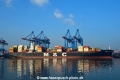 MSC Elodie (KB-D200218-01).jpg