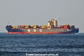 MSC Darwin VI OS-080425-26.jpg