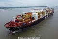 MSC Chloe TL-170823-4.jpg
