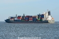 Queen B 3 JG-011120-04.jpg