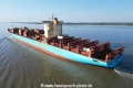MSC Domna X KH-110923-7.jpg