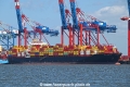 MSC Cornelia OS-150522-03.jpg