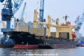 Puffin S (KB-D180518-01).jpg