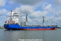 Queen B 2 (OK-020820-3).jpg